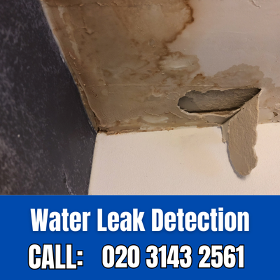 Expert Water Leak Detection Services in Ilford | Ilford Leak Detection